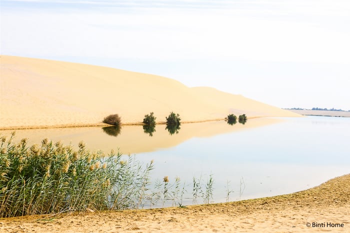 Magic Lake Egypt Fayoum Experience This is Egypt campaign ©BintiHome