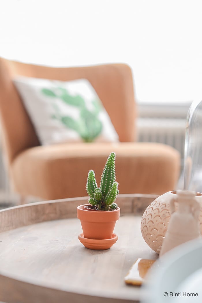 mini cactus in een terracotta pot op de salontafel ©BintiHome-5