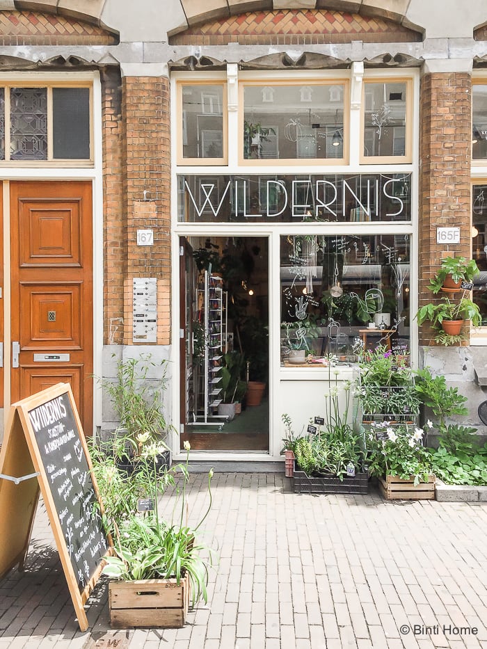 Bijzondere planten shoppen bij Wildernis Amsterdam ©BintiHome