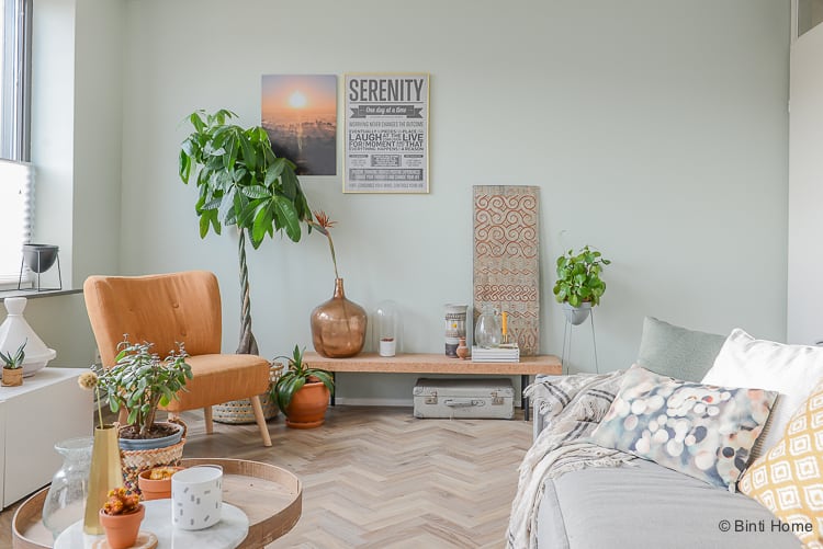 Oneerlijk biografie Vermoorden Welke kleur groen op muur voor onze woonkamer metamorfose? - Binti Home |  Interieurontwerpstudio & inspiratie blog