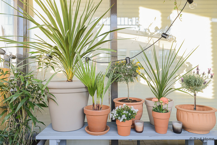 Scorch Vrijstelling Classificatie Balkon inspiratie : balkon inrichten met veel planten! - Binti Home |  Interieurontwerpstudio & inspiratie blog