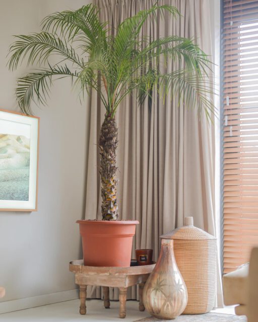 Flower shop Cairo Joie de Vivre at new hotspot Maison69 Binti Home