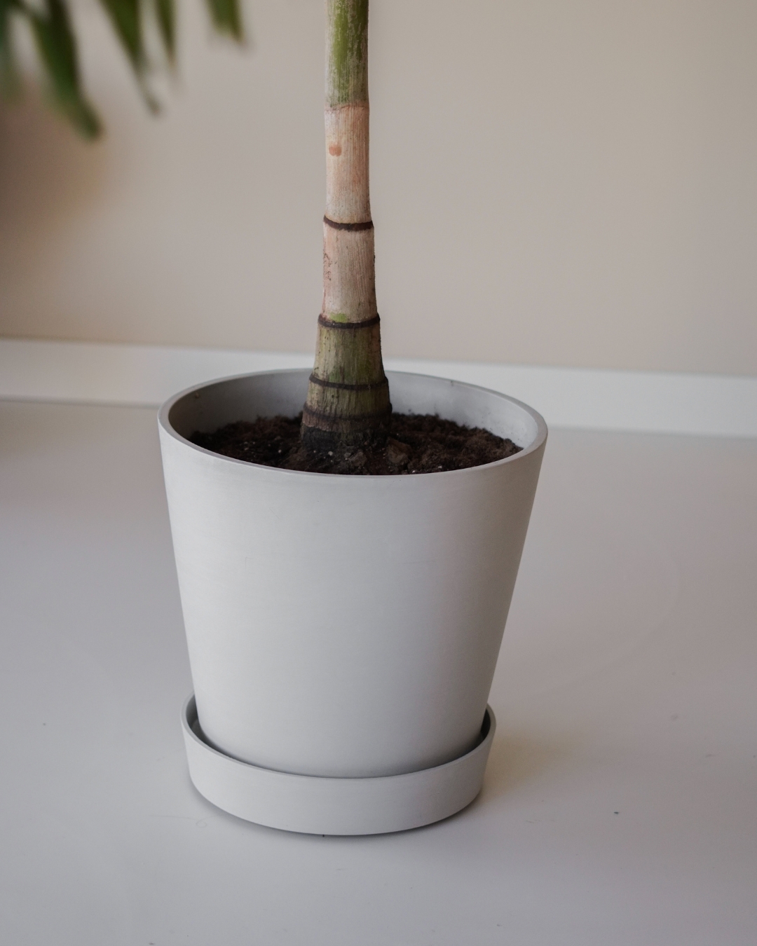 analyse Huh Dubbelzinnig Plantenpot A50G - Light grey - Binti Home | Interieurontwerpstudio &  inspiratie blog