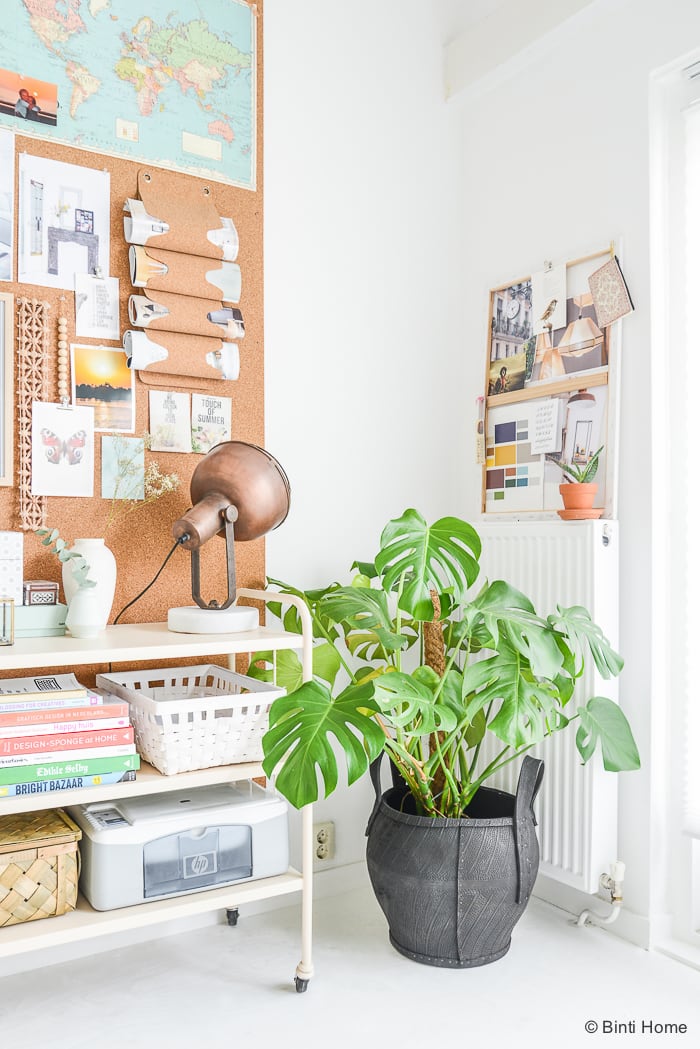 Stylingtip | Planten geven je sfeer - Binti Home | Interieurontwerpstudio & inspiratie blog