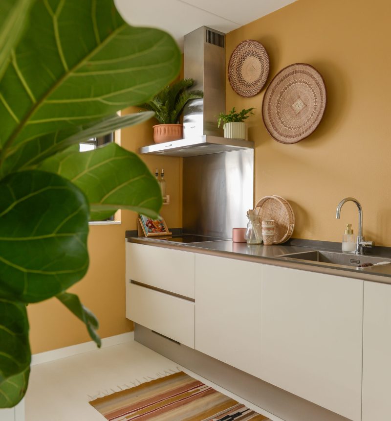 02. Familiehuis Hoofddorp – Flexa Binti Home Kleurcollectie 21-29 02. Familiehuis Hoofddorp - Flexa Binti Home Kleurcollectie 21-29